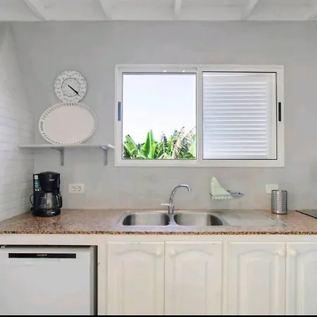 Ecologica * أذيخي